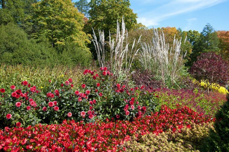 (c)thartz00@comcast.net