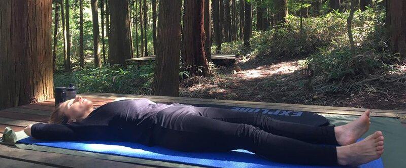 Quiet 1 e1572236552101